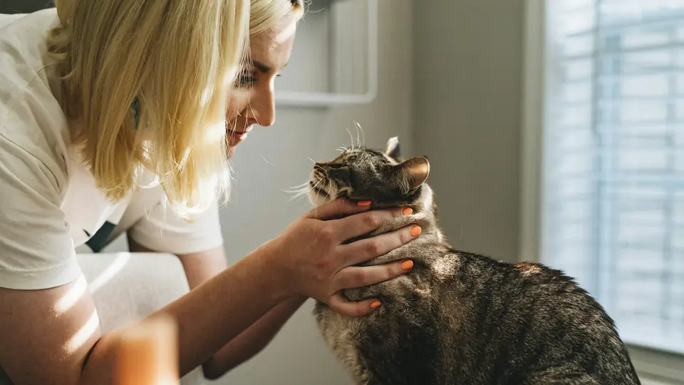 A woman gently checks a tabby cat beside a sunny window